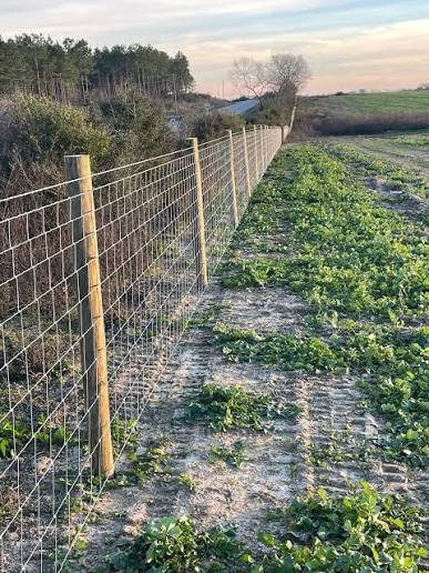 High-tensile open-style fence
