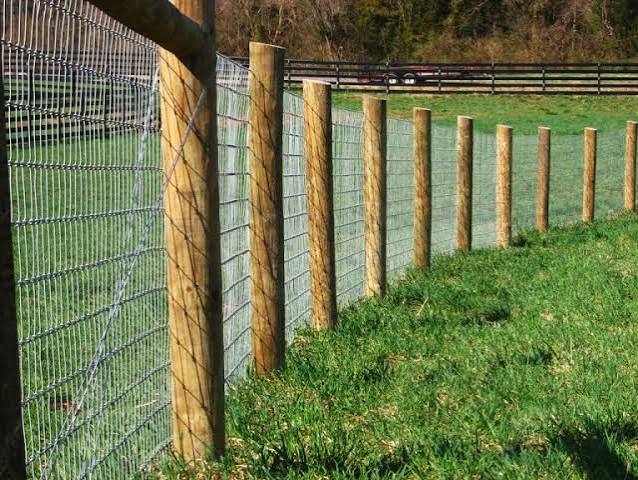 High-tensile pole-style fence
